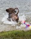 20170820-mwd-0397