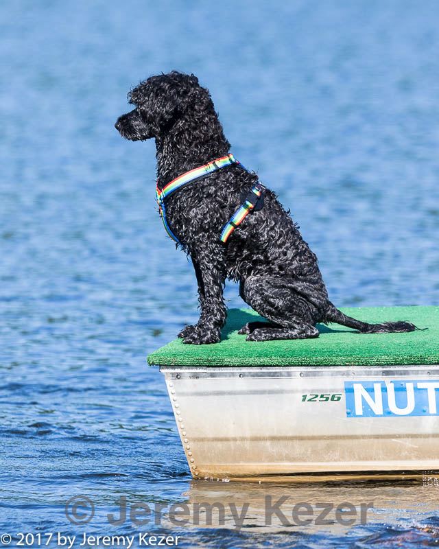 20170820-mwd-0005.jpg