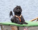 20170820-wwd-0030