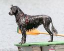 20170820-wwd-0099
