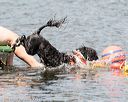 20170820-wwd-0164