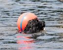20170820-wwd-0232