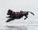 20170820-wwd-0246