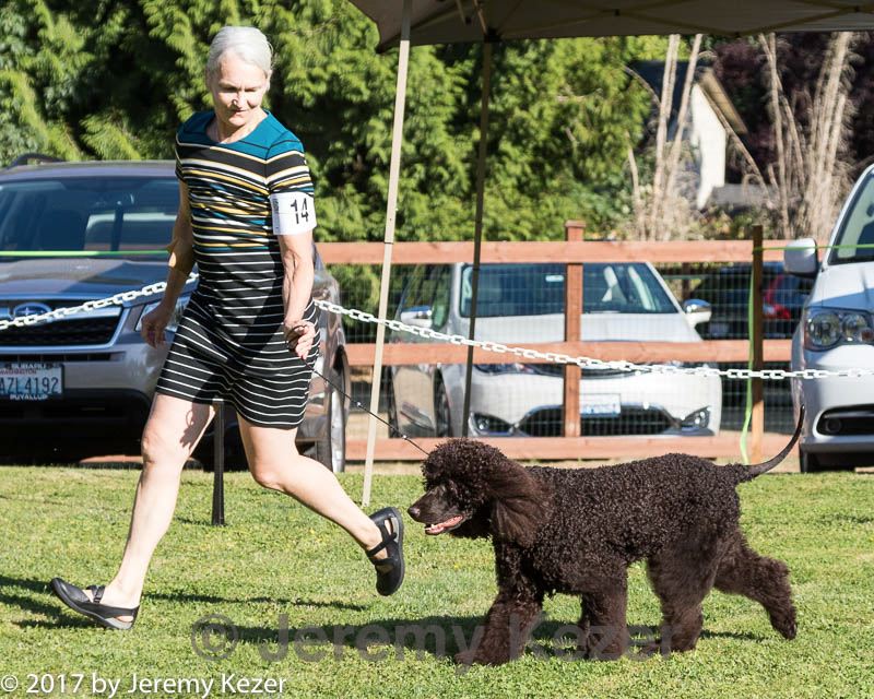 20170825-co-0315.jpg