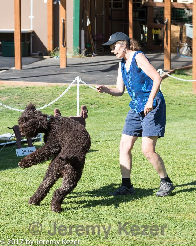 20170825-freestyle-0008.jpg
