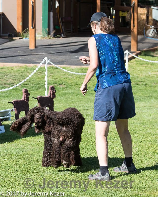 20170825-freestyle-0010.jpg