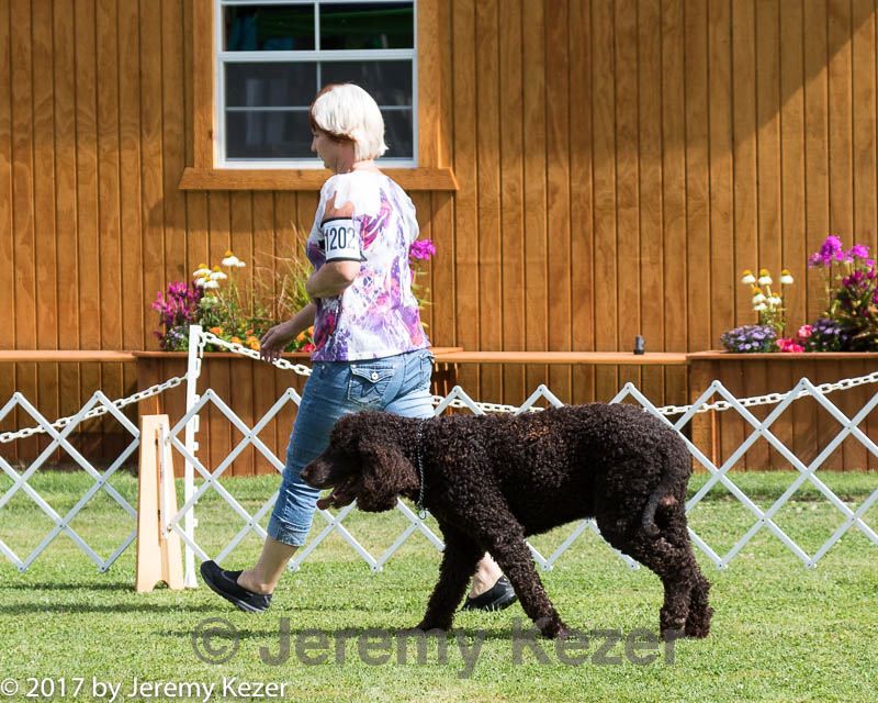 20170825-ob-0271.jpg