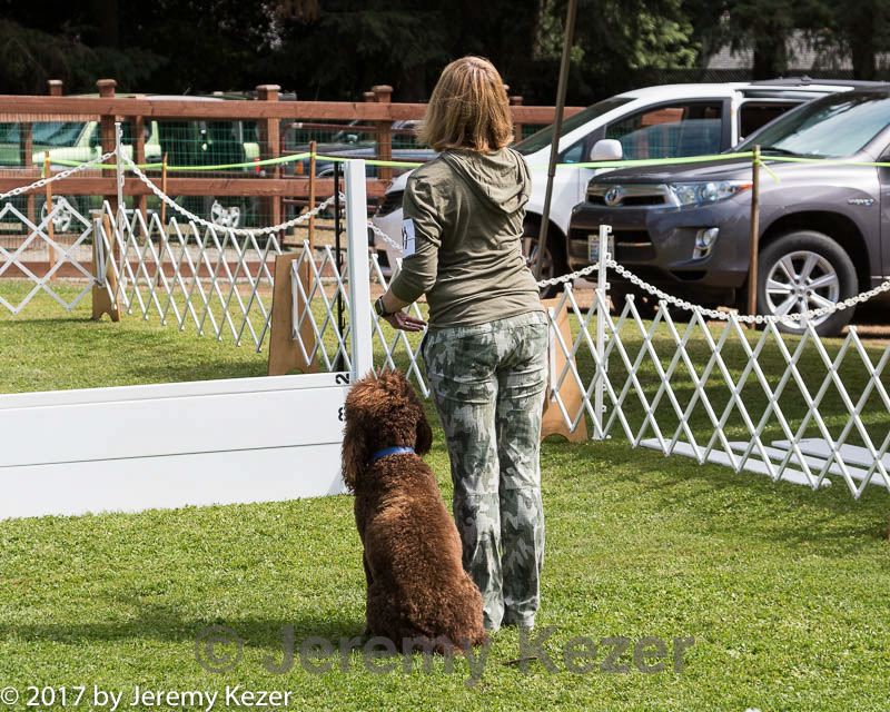 20170825-ob-0346.jpg