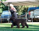 20170826-co-0361
