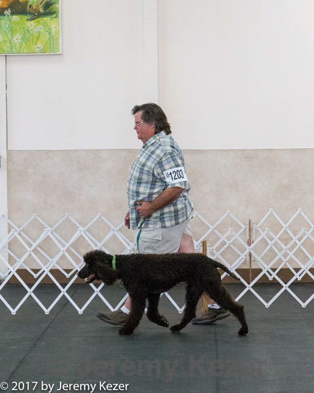 20170826-ob-0198.jpg