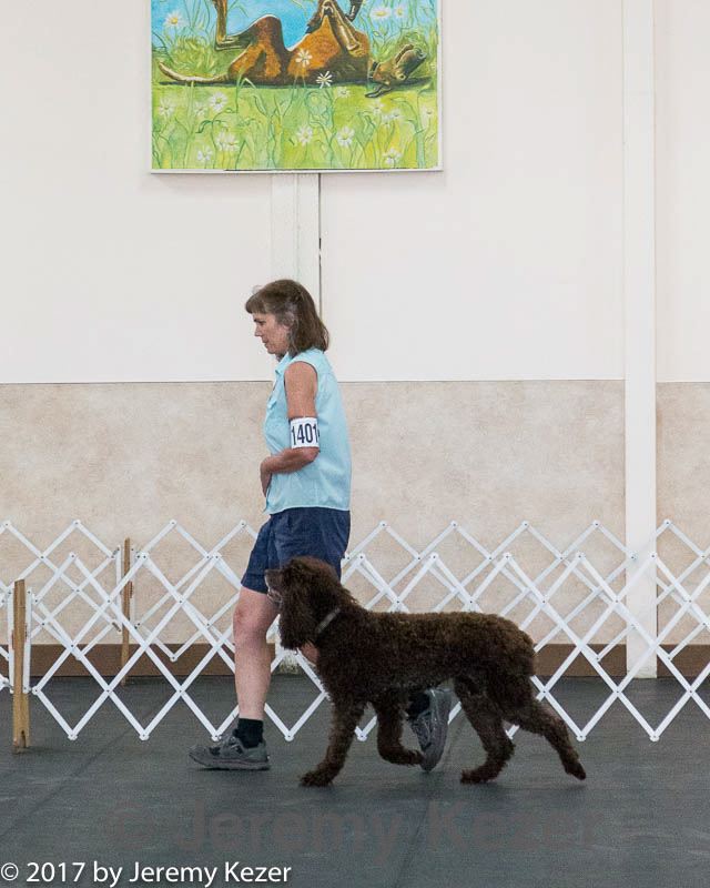 20170826-ob-0113.jpg
