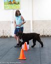 20170826-ra-0184