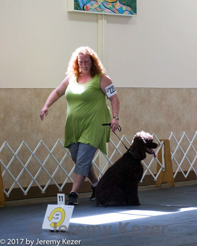 20170826-ra-0161.jpg