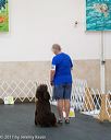20170826-ra-0326