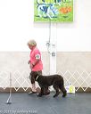 20170826-ra-0450