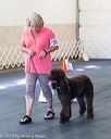 20170826-ra-0460