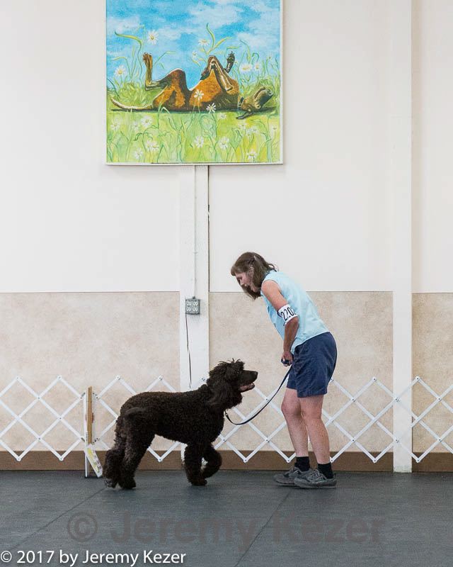 20170826-ra-0397.jpg
