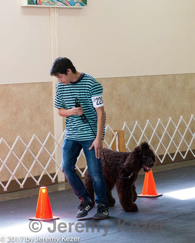 20170826-ra-0418.jpg