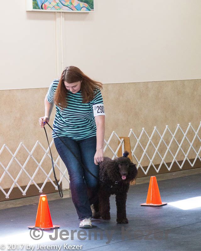 20170826-ra-0426.jpg