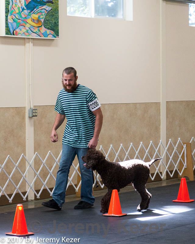 20170826-ra-0436.jpg