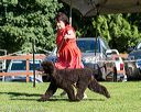 20170826-sw-0099