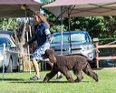 20170826-sw-0135