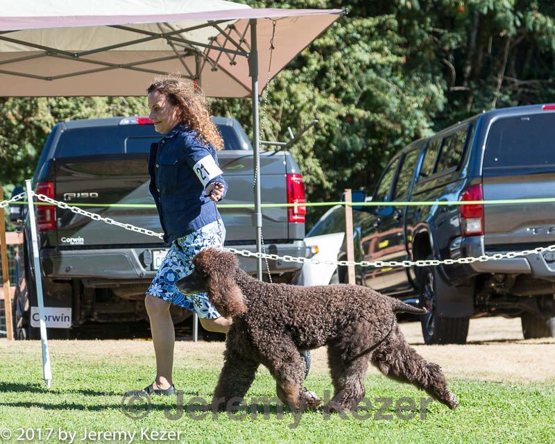 20170826-sw-0128.jpg