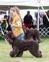 20170928-conf-0204