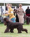 20170928-conf-0206