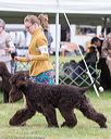 20170928-conf-0208