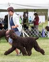 20170928-conf-0222