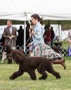 20170928-conf-0252