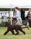 20170928-conf-0256