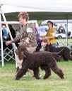 20170928-conf-0278
