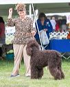 20170928-conf-0280