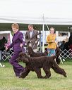 20170928-conf-0297