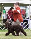 20170928-conf-0058