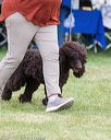 20170928-conf-0068