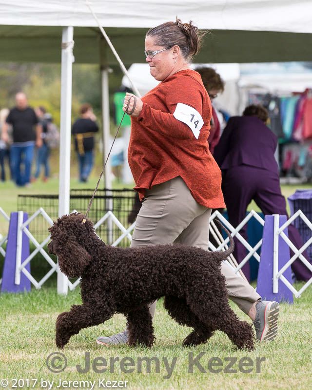 20170928-conf-0060.jpg