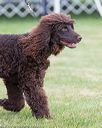 20170928-conf-0170