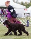 20170928-conf-0073