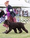 20170928-conf-0076