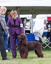20170928-conf-0085