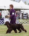20170928-conf-0087
