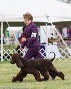 20170928-conf-0090