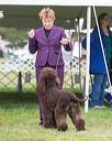 20170928-conf-0094