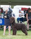 20170928-conf-0101