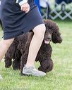 20170928-conf-0112