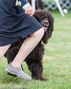 20170928-conf-0115