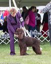 20170928-conf-0140
